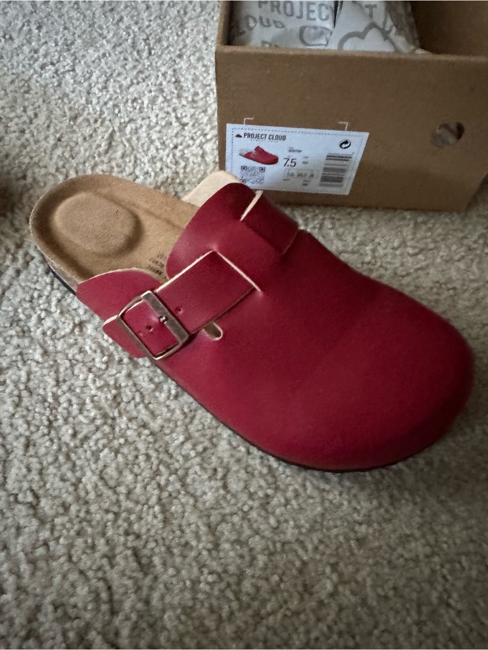 Project Cloud Red Suede Slip-On Clog with Buckle